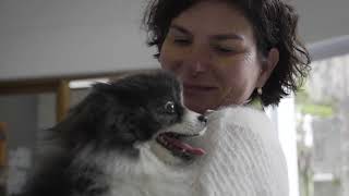 The Adoptions Process At The Cape Of Good Hope Spca