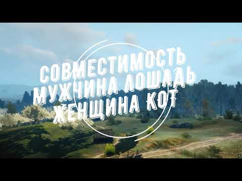 Совместимость мужчина Лошадь и женщина Кот