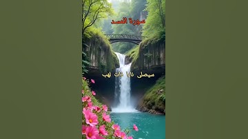 تلاوة خاشعة ومؤثرة من الذكر الحكيم نفعنا الله وإياكم بها #اكسبلور #المصحف #duet #الرحمن #تيك_توك