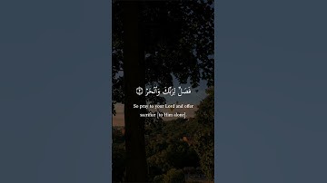 سورة الكوثر كاملة/ القارئ عبدالرحمن مسعد/ كرومات القرآن
