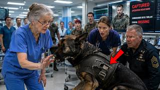 The K9 Turned Violent After The SEAL Was Captured — Until One Nurse Revealed The Hidden Truth