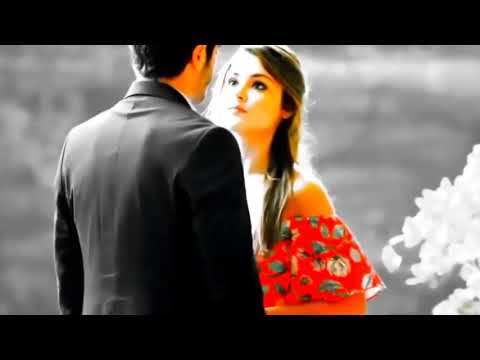 أجمل حالات واتس آب وانستغرام حب شيخ الشباب شو واثق بحالو شو قلبو قوي نانسي عجرم