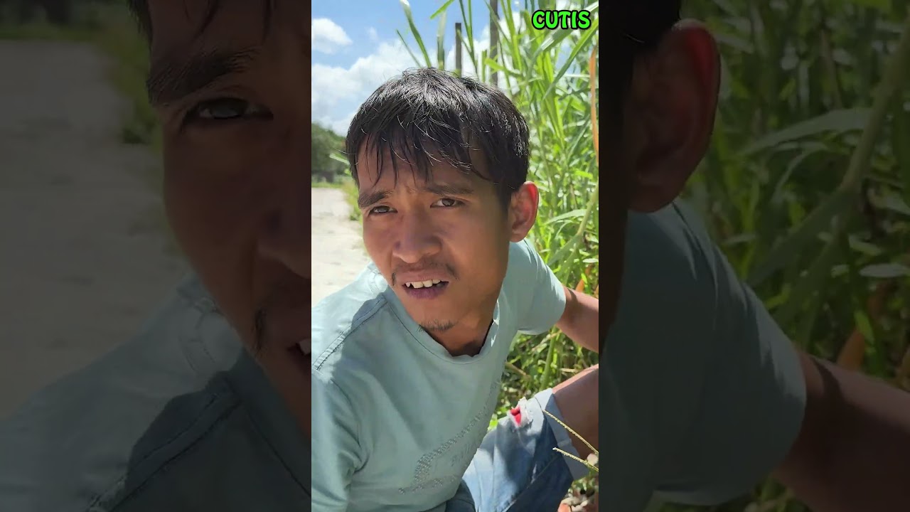 What Happened That CUTIS and the Baby Monkey Ran Home in Fear? 