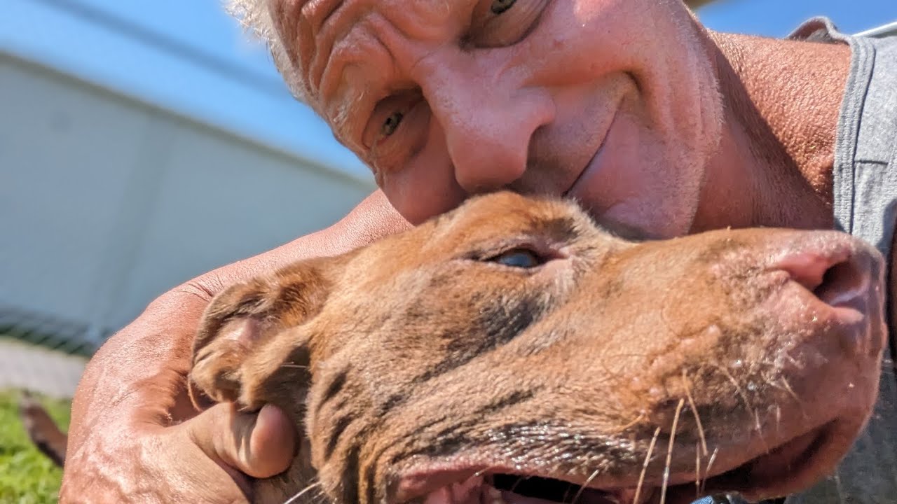 SCRAPS ANIMAL SHELTER ! Complete List of dogs on VIDEO as of 7/29/23 in A & B Pod . SHELTER FULL !!