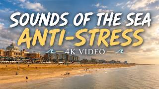 Live Sounds of the Sea | Anti-Stress Relaxing Ocean Waves | 4K Sea Video