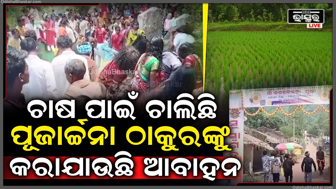ପଟାଙ୍ଗୀଠାରେ ମା' ବଡ଼ ଦେବତା ପୂଜାରେ ଭକ୍ତଙ୍କ ଭିଡ଼, ଚାଷ ପାଇଁ ଚାଲିଛି ପୂଜାର୍ଚ୍ଚନା ଠାକୁରଙ୍କୁ କରାଯାଉଛି ଆବାହନ