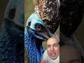 Este es el único dinosaurio vivo🦕😯 #fblifestyle #viralreels #viralvideo