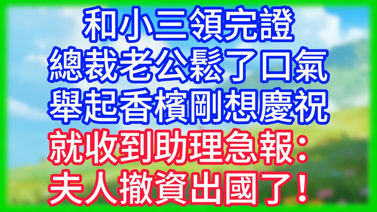 【爽文】和小三领完证，总裁丈夫松了口气，举起香槟刚想庆祝，就收到助理急报：“夫人撤资出国了！”得知公司要破产，小三瞬间变了脸色！