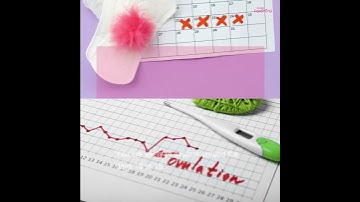 What Is Ovulation and When Does It Happen?