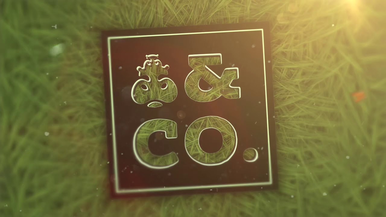 hipporoo baby carrier