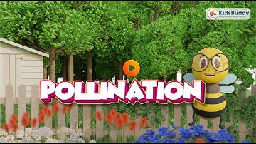 Pollination Video | Different type of pollinations | KidsBuddy application