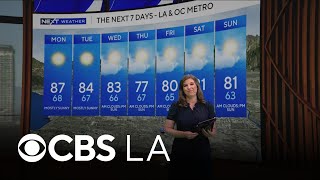 Marina Jurica s NEXT Weather Forecast Aug 9