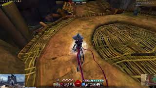 GW 2 World vs World How to Find Yellow Catmander for Legendary Catapult Collection