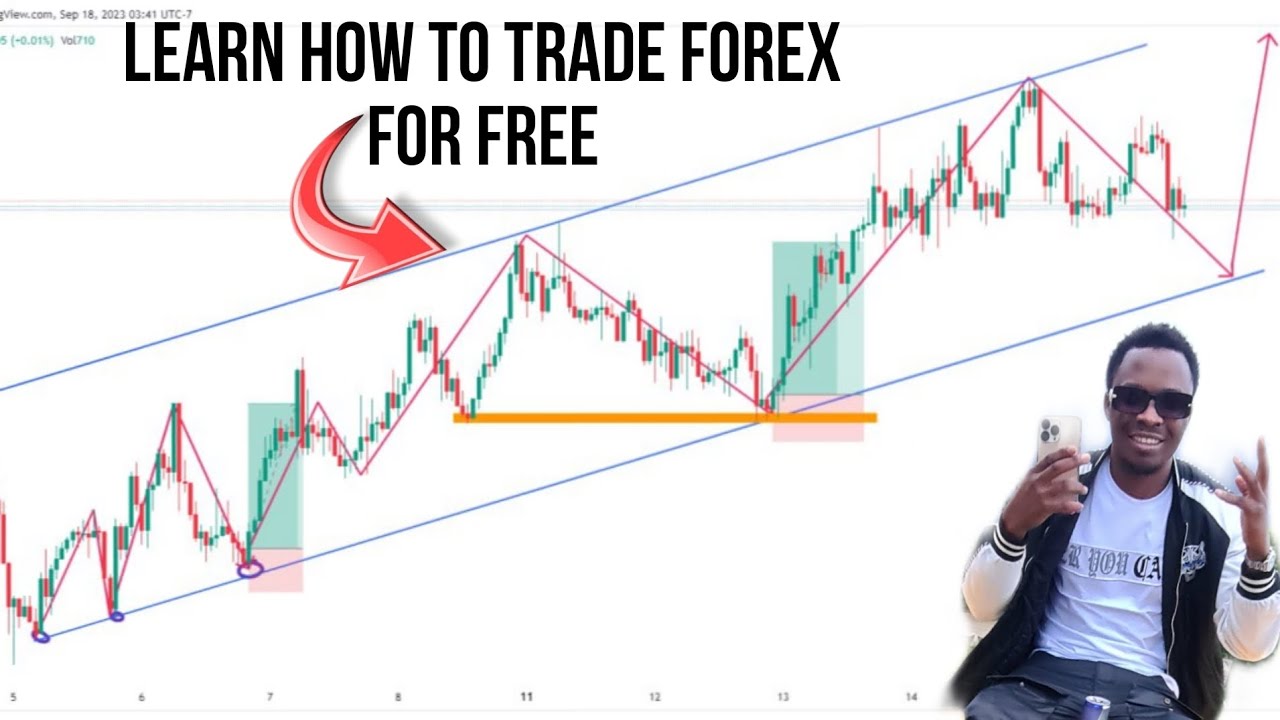 learn how to trade the forex market for free and make money in the ...