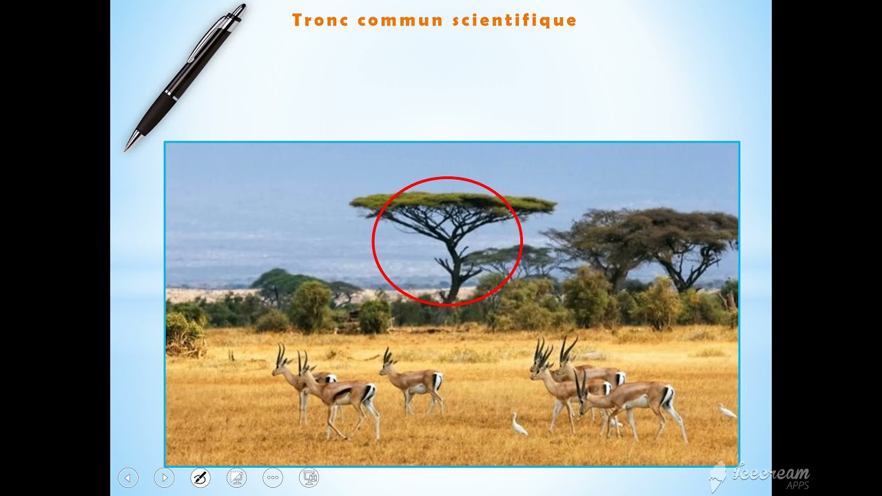 TCSF: Unité 1 L'ECOLOGIE Tronc commun science français - Svt