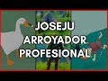 Joseju, arroyador profesional