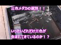 三色メダカの選別！いったいどれだけ三色が生まれているのか！？