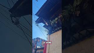 Comfast x Share wifi
