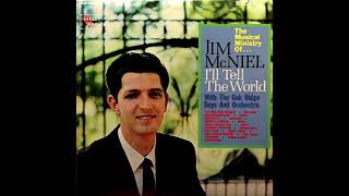Mighty Things / Jim McNiel