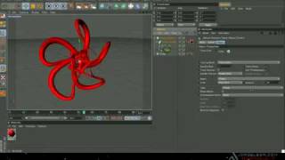 Cinema 4D Mograph Tracer Tutorial