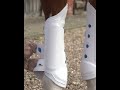 Premier Equine Air Cooled Original Eventing Boots