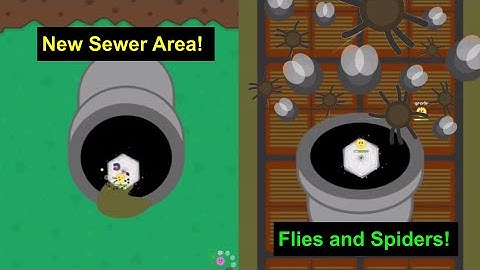New Sewer Area in Florr.IO + New Fly Mob