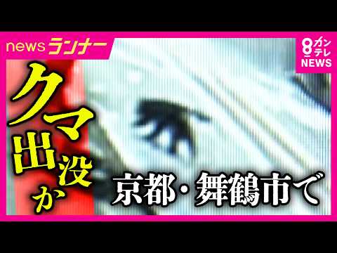 Bear spotted in downtown Maizuru, Kyoto: Exclusive footage captures it crossing the road; schools...