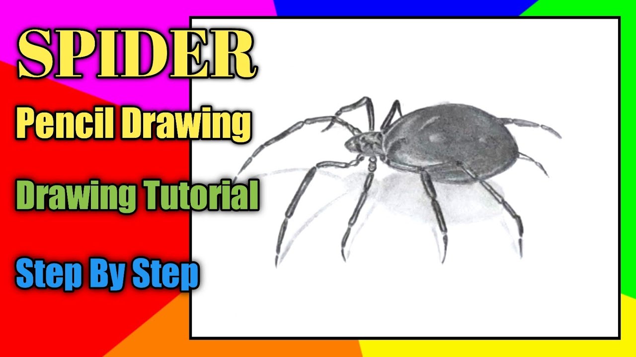 Spider Pencil drawing | How to draw a spider | drawing tutorial step by ...