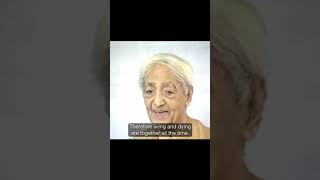 Why Not Get Free Of Attachment Now  Krishnamurti shorts