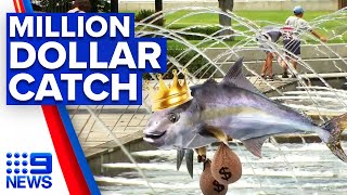 $1 million reward for kingfish capture in new event | 9 News Australia