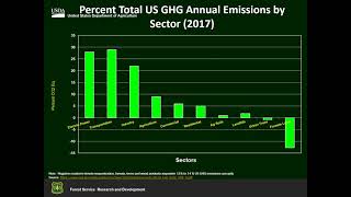 Biochar’s role in the green economy and its potential for climate change mitigation