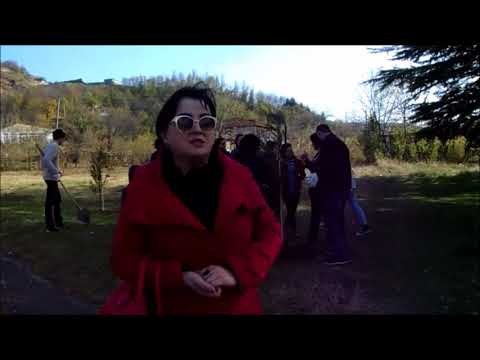 SENN-ის პროექტის ფარგლებში განხორციელებული აქცია.