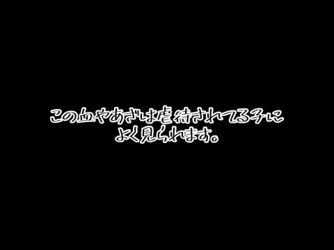 【東方改変PV】これは……
