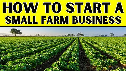 How to Start a Small Farm Business - A Step-by-Step Guide to Launching a Farm Business