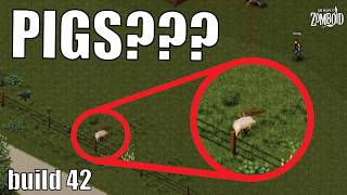 We Play Project Zomboid Build 42 For the First Time! (And Everything is so Different!)