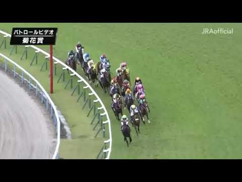 競馬　菊花賞　パトロールビデオ　レース結果　2019年