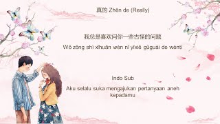 真的 Zhen De (Really) 麦小兜 Mai Xiao Dou [Indo Sub]