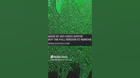 Roblox Jetpack Part 1 Is G Major 919 (Zormulator V8 + Super Duper High Pitched)