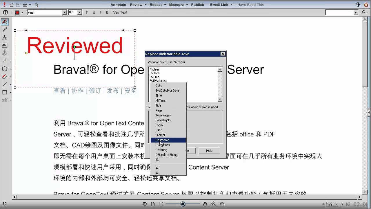 Dynamic Stamps in Brava for OpenText Content Server