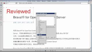 Dynamic Stamps in Brava for OpenText Content Server screenshot 2
