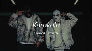 Karakola - Dilo || Slowed - Reverb