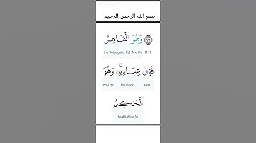 تلاوة مباركة تريح النفس"هدوء وسكينة من الذكر الحكيم #القرآن_الكريم #تلاوة_خاشعة #الرحمن🌙🌙