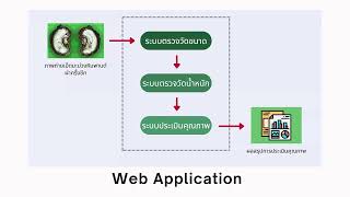 AI system for assessing cashew nuts quality: demo