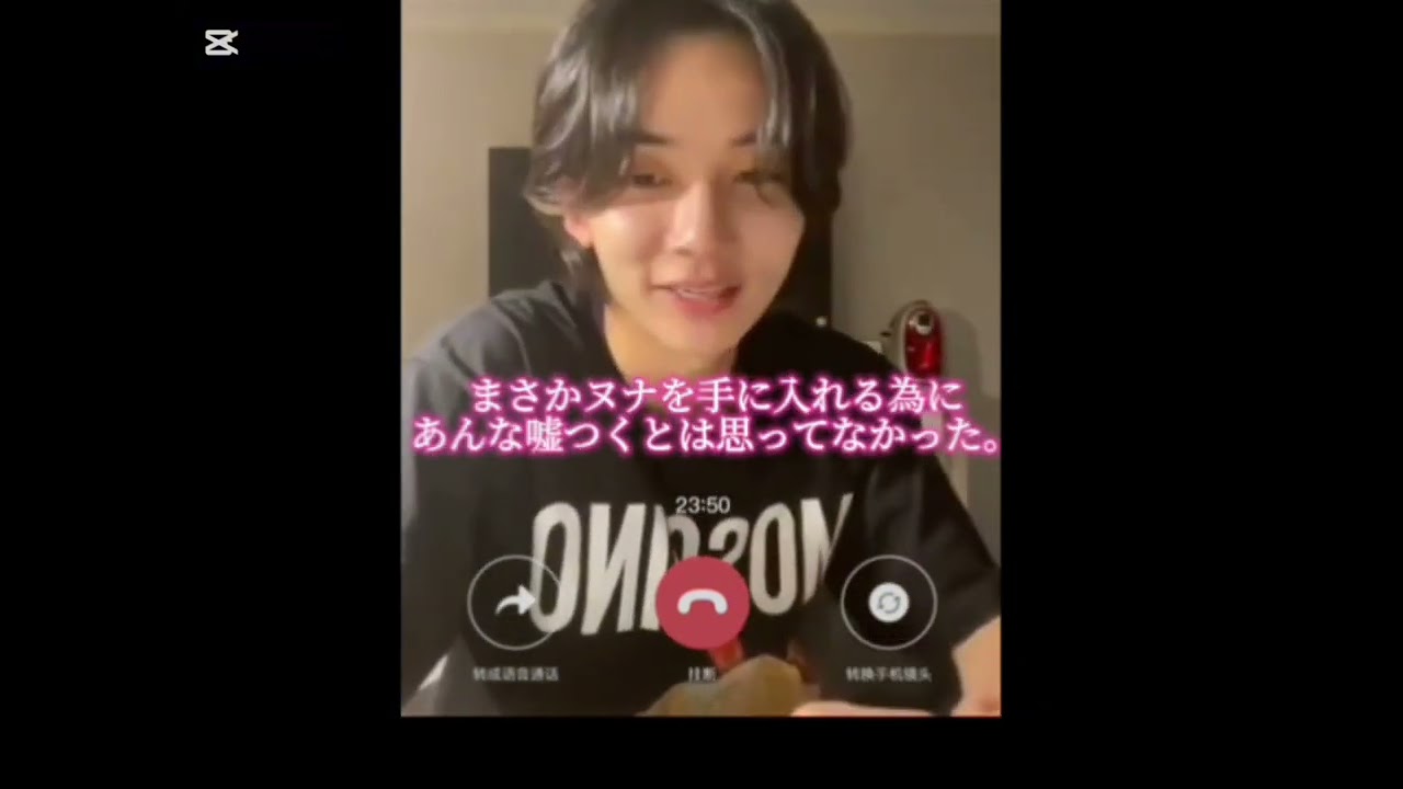 #SEVENTEEN妄想動画                             苦手な方はスルーで🙇🏻‍♀️՞