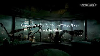 Reversible Rotation in the Tokyo Sky - Black in White