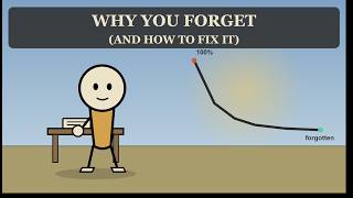 Why You Forget Almost Everything You Learn (The Spacing Effect)