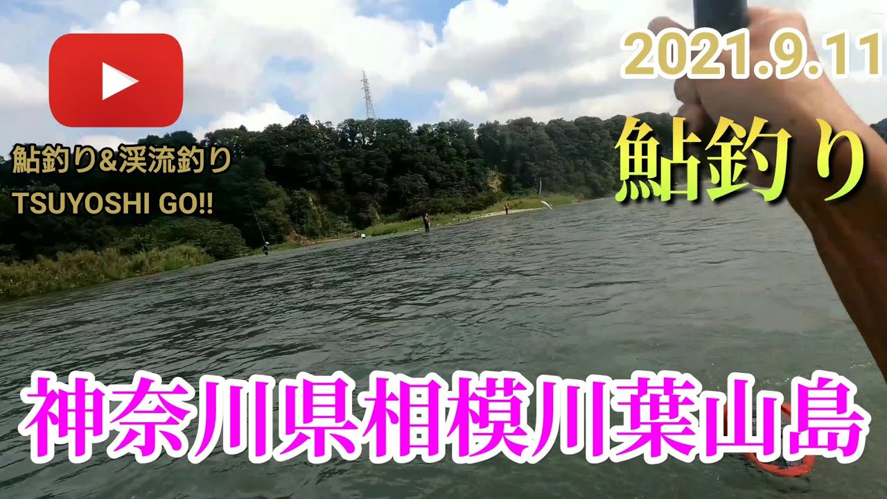 鮎釣り 21 9 11神奈川県相模川葉山島 Youtube