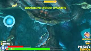 Hungry shark trying to get vortex