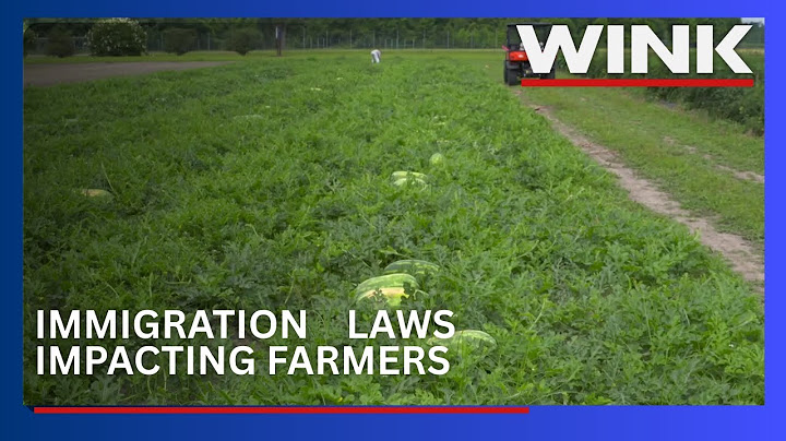 Florida's immigration laws could raise grocery prices, experts warn