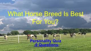 What Horse Breed Is Best For You Personality Quiz *9 Questions*